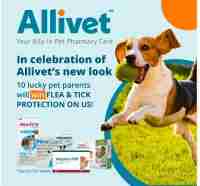 Win Flea and Tick Prevention for a Year! - Allivet